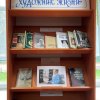 Книжная выставка «Несравненный художник жизни»