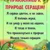 «Мы - часть природы!»