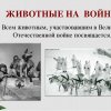 Они помогли победить на войне